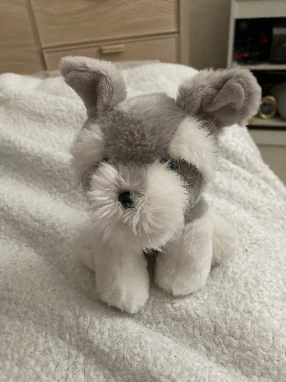 Ty toy. Harper the Husky puppy dog.